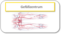 Gefäßzentrum